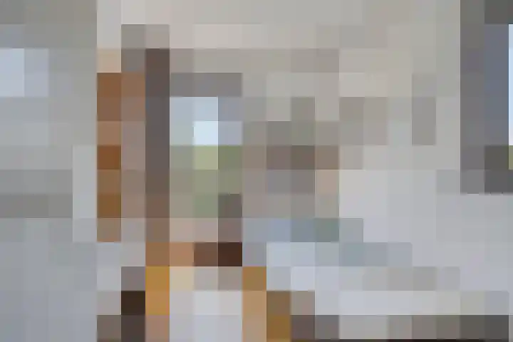 Azaleastraat 22 Heerde thumbnail 17