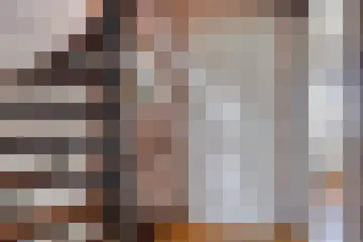 Azaleastraat 22 Heerde thumbnail 20