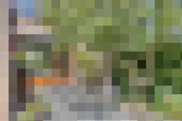Azaleastraat 22 Heerde thumbnail 25