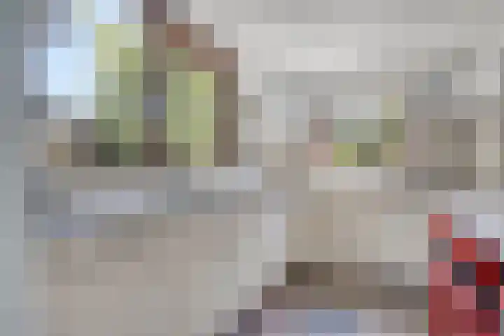 Azaleastraat 22 Heerde thumbnail 9