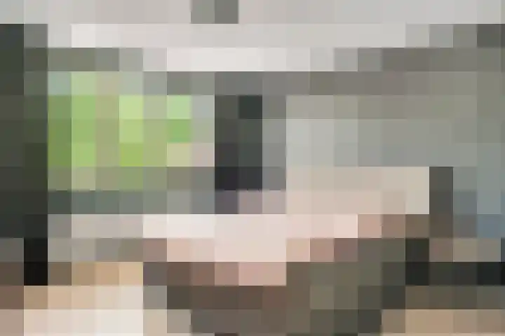 Azaleastraat 22 Nederweert thumbnail 13
