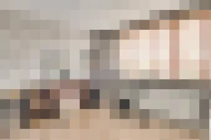 Azaleastraat 22 Nederweert thumbnail 15