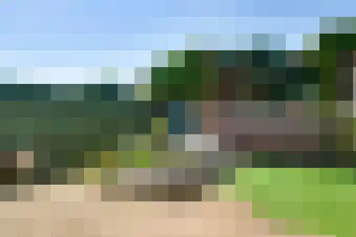 Azaleastraat 22 Nederweert thumbnail 21