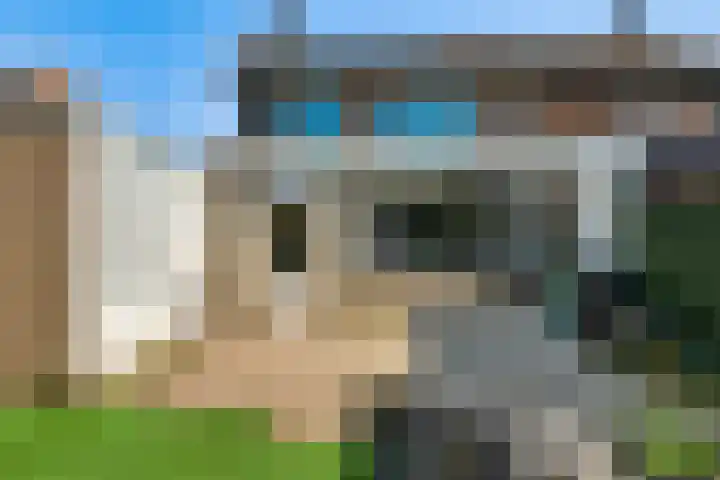 Azaleastraat 22 Nederweert thumbnail 24