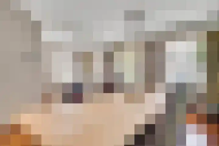 Azaleastraat 22 Nederweert thumbnail 6