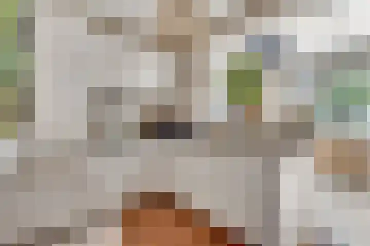 Azaleastraat 22 Nederweert thumbnail 8