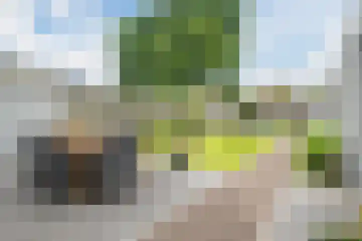 Azaleastraat 24 Sint-Oedenrode thumbnail 11