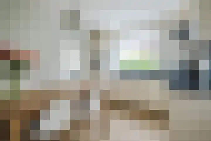 Azaleastraat 24 Sint-Oedenrode thumbnail 21