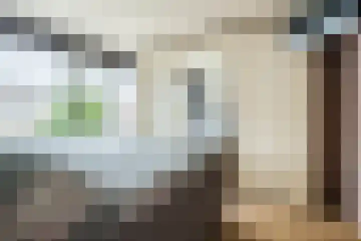 Azaleastraat 24 Sint-Oedenrode thumbnail 28