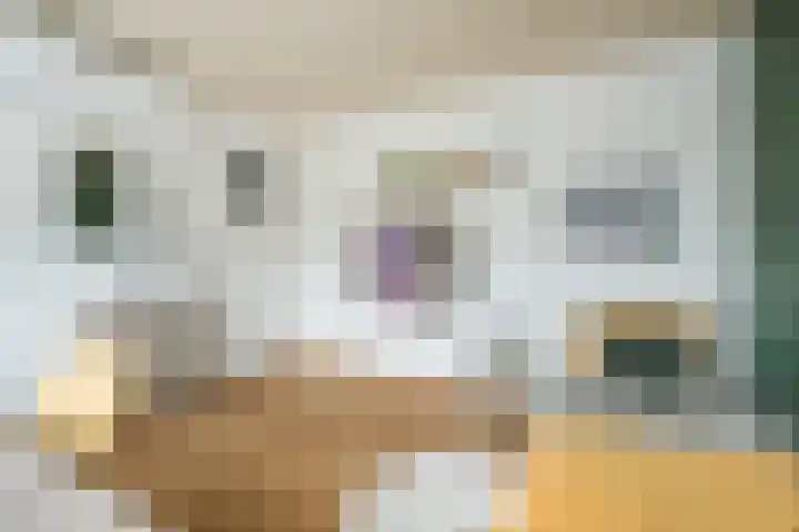 Azaleastraat 24 Sint-Oedenrode thumbnail 31