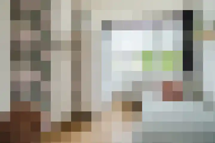 Azaleastraat 24 Sint-Oedenrode thumbnail 33