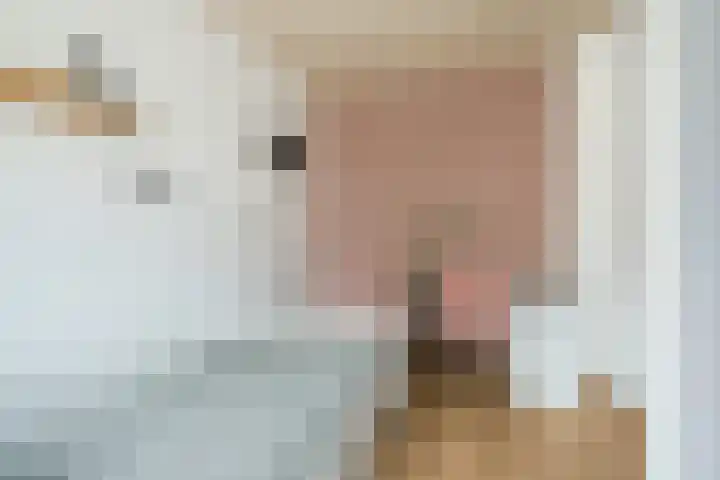 Azaleastraat 24 Sint-Oedenrode thumbnail 34