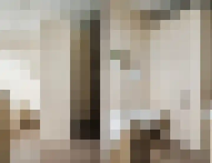Azaleastraat 24 Sint-Oedenrode thumbnail 38