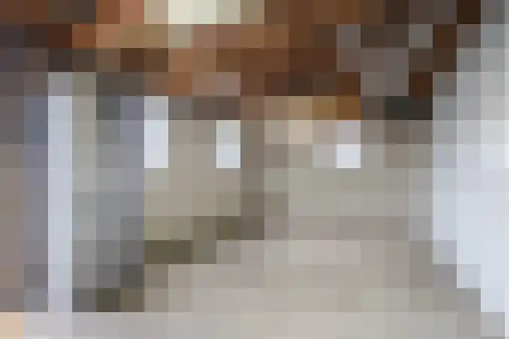 Azaleastraat 24 Sint-Oedenrode thumbnail 45