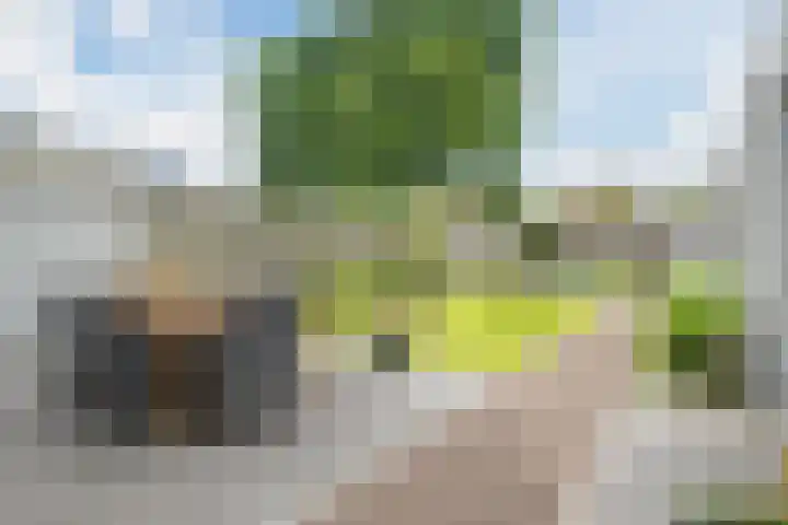 Azaleastraat 24 Sint-Oedenrode thumbnail 46