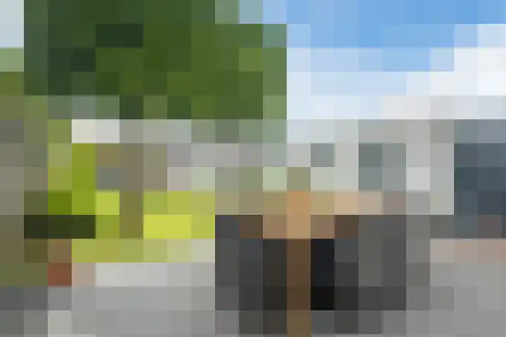 Azaleastraat 24 Sint-Oedenrode thumbnail 47