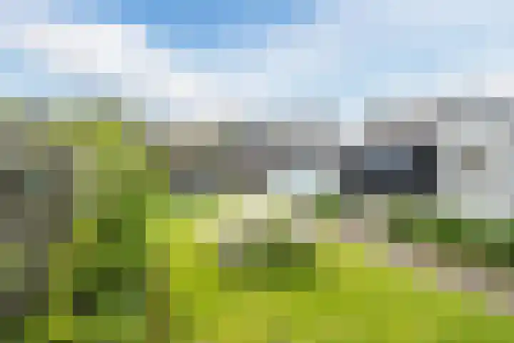 Azaleastraat 24 Sint-Oedenrode thumbnail 48
