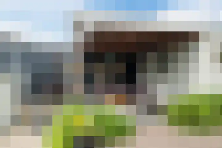 Azaleastraat 24 Sint-Oedenrode thumbnail 49