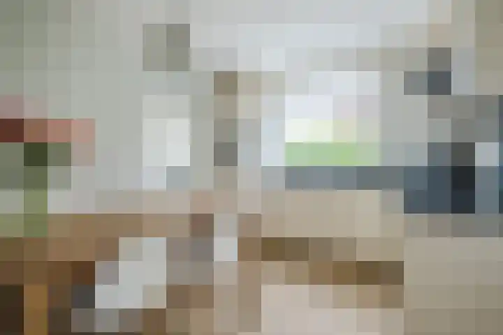 Azaleastraat 24 Sint-Oedenrode thumbnail 5