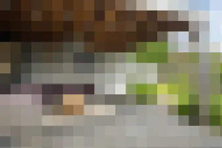 Azaleastraat 24 Sint-Oedenrode thumbnail 50