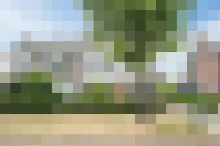 Azaleastraat 24 Sint-Oedenrode thumbnail 55