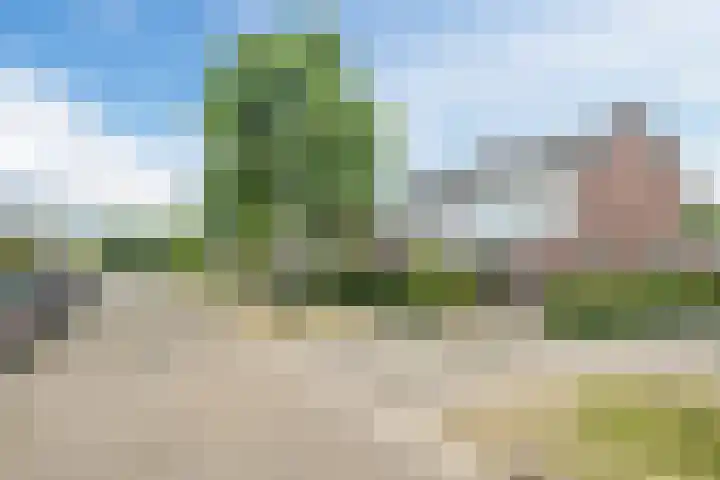 Azaleastraat 24 Sint-Oedenrode thumbnail 57