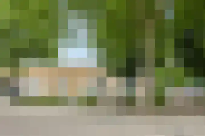 Azaleastraat 24 Sint-Oedenrode thumbnail 58