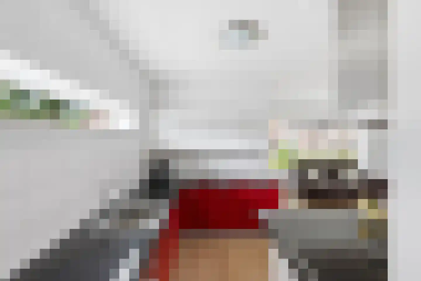 Azaleastraat 24 Terneuzen thumbnail 13