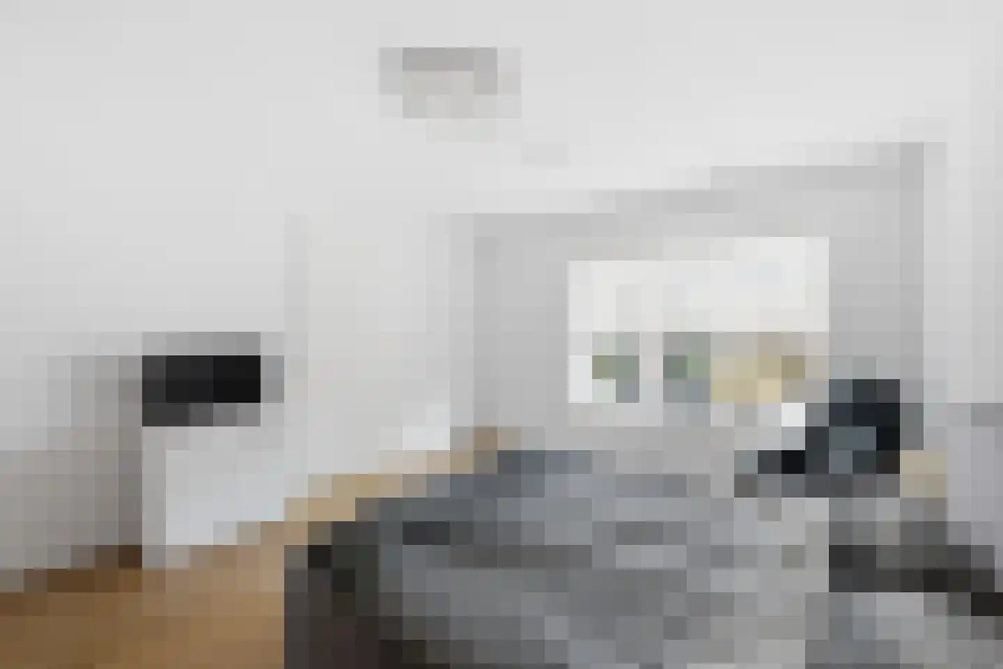 Azaleastraat 24 Terneuzen thumbnail 17