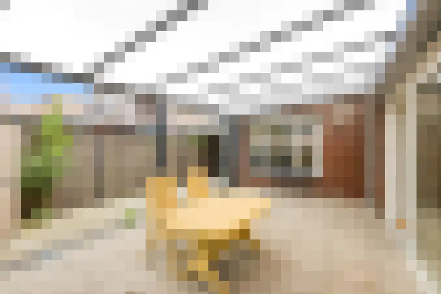 Azaleastraat 24 Terneuzen thumbnail 26