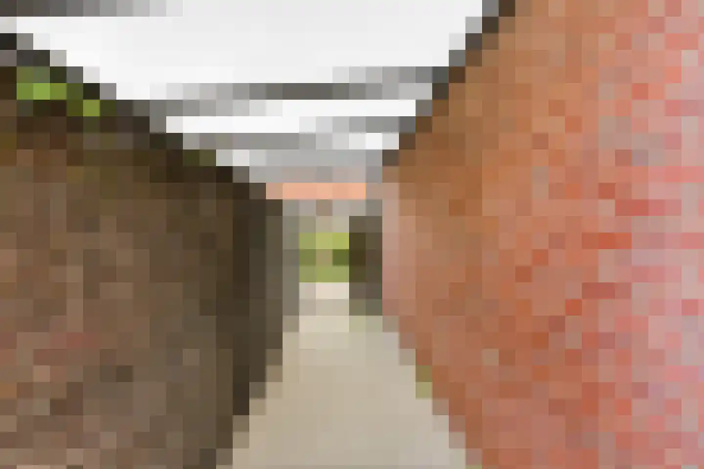 Azaleastraat 24 Terneuzen thumbnail 28