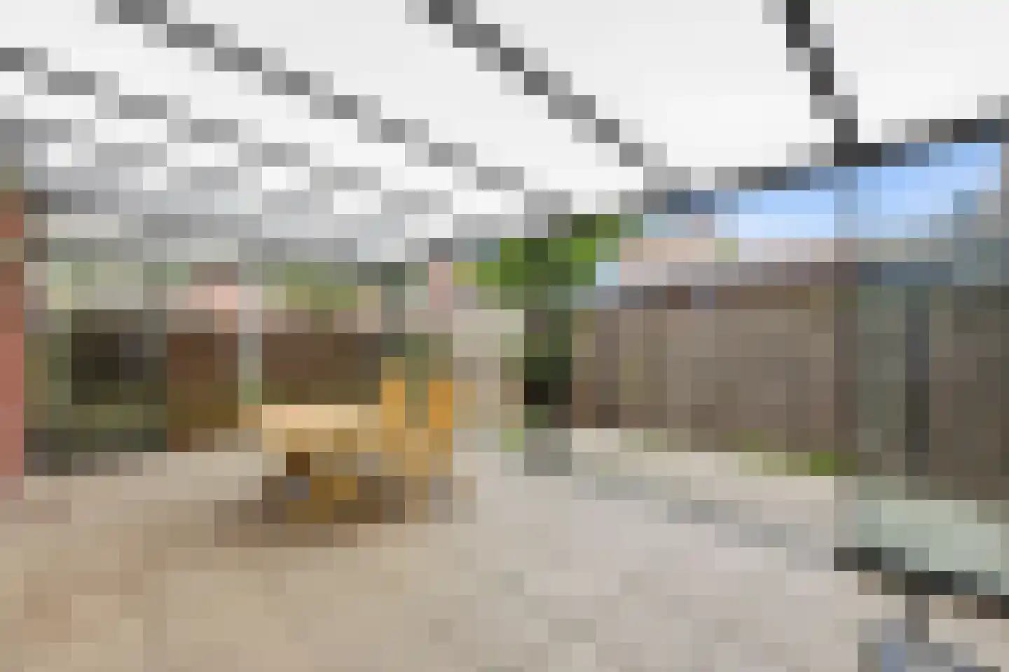 Azaleastraat 24 Terneuzen thumbnail 4