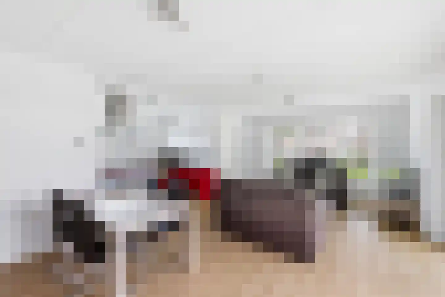 Azaleastraat 24 Terneuzen thumbnail 9