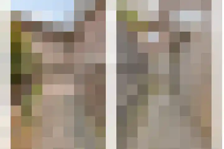 Azaleastraat 25 Amsterdam thumbnail 10