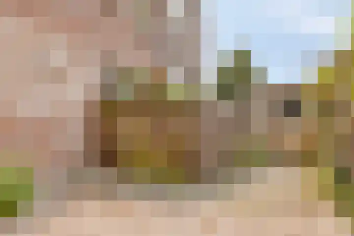Azaleastraat 25 Amsterdam thumbnail 11