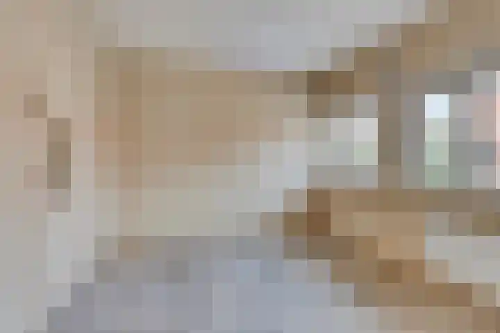 Azaleastraat 25 Amsterdam thumbnail 14