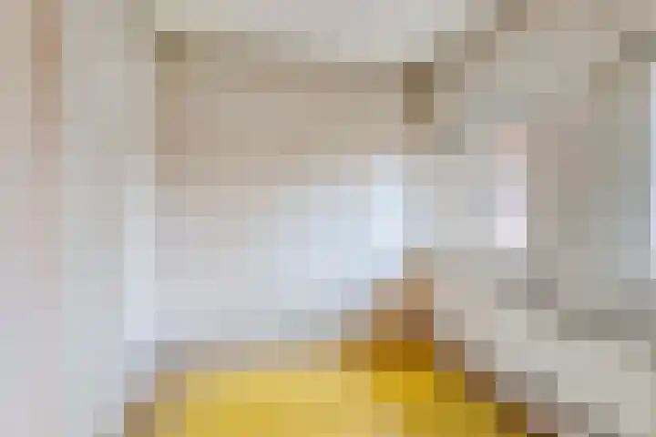 Azaleastraat 25 Amsterdam thumbnail 15