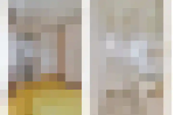 Azaleastraat 25 Amsterdam thumbnail 16
