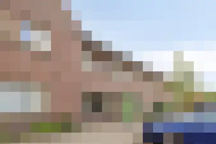 Azaleastraat 25 Amsterdam thumbnail 18
