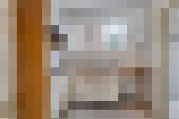 Azaleastraat 25 Amsterdam thumbnail 5