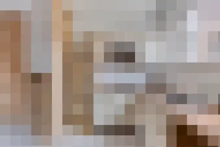 Azaleastraat 25 Amsterdam thumbnail 6