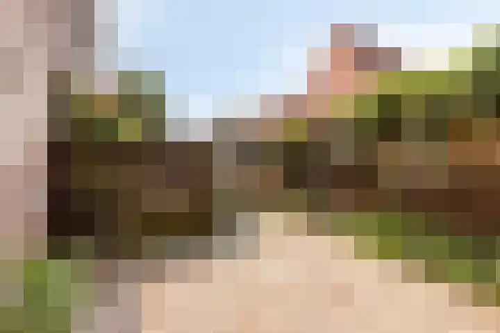 Azaleastraat 25 Amsterdam thumbnail 9