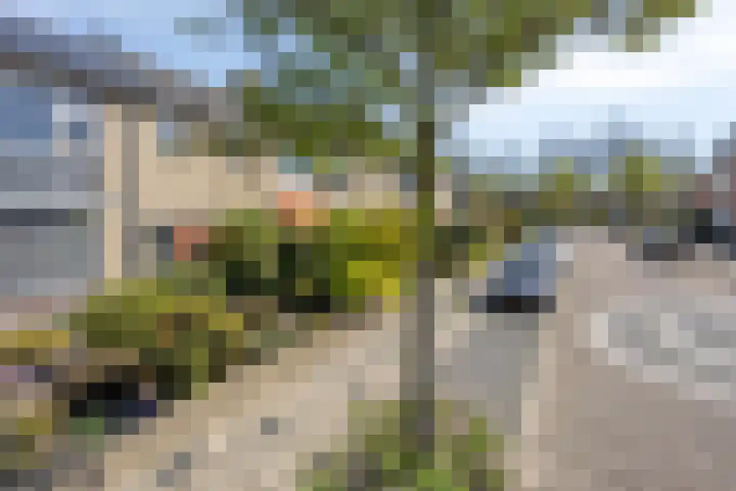 Azaleastraat 25 Oosterhout thumbnail 36