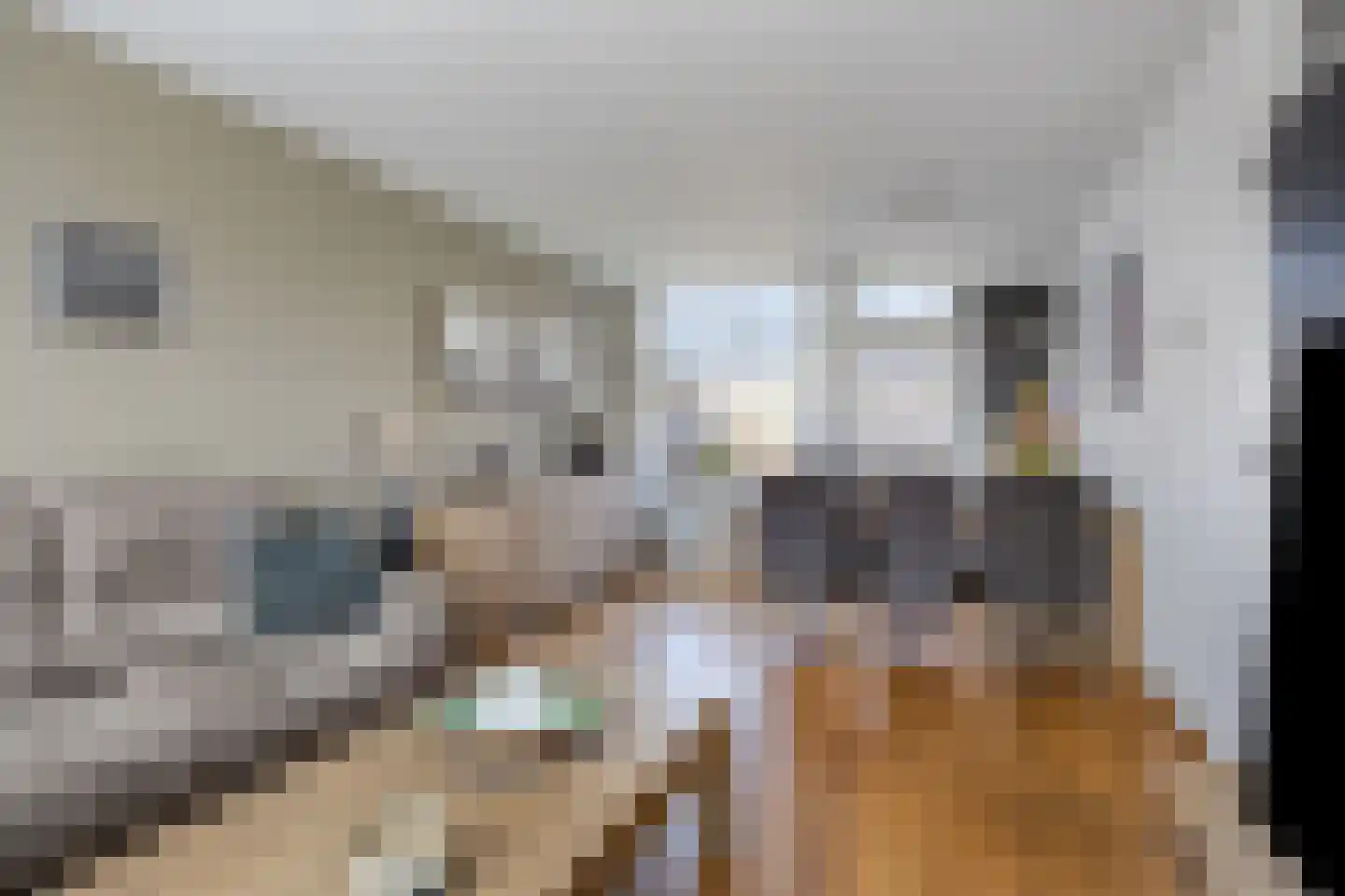 Azaleastraat 25 Oosterhout thumbnail 4