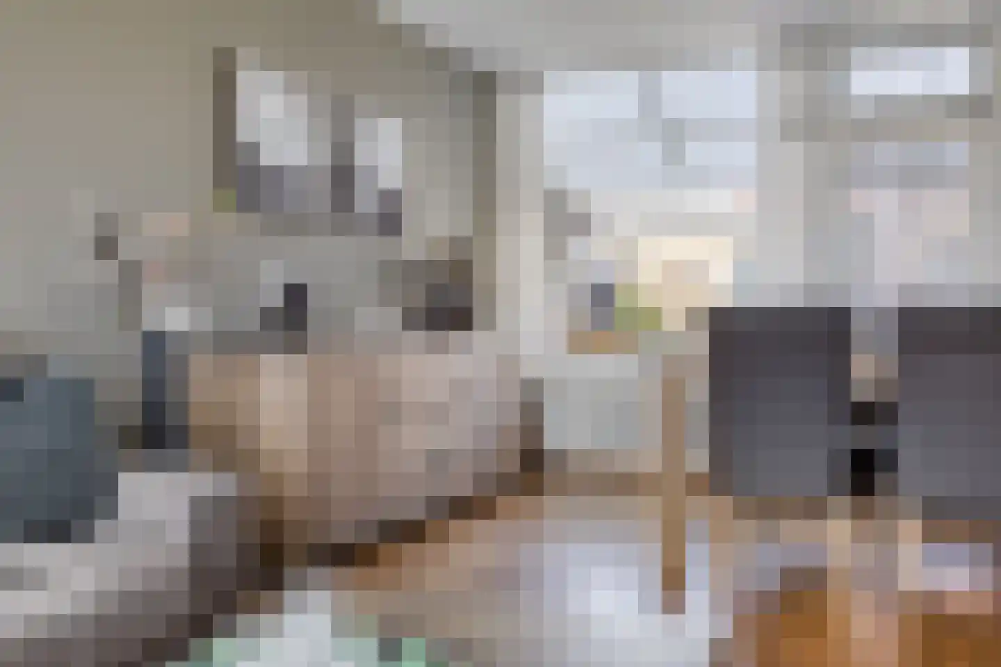Azaleastraat 25 Oosterhout thumbnail 6