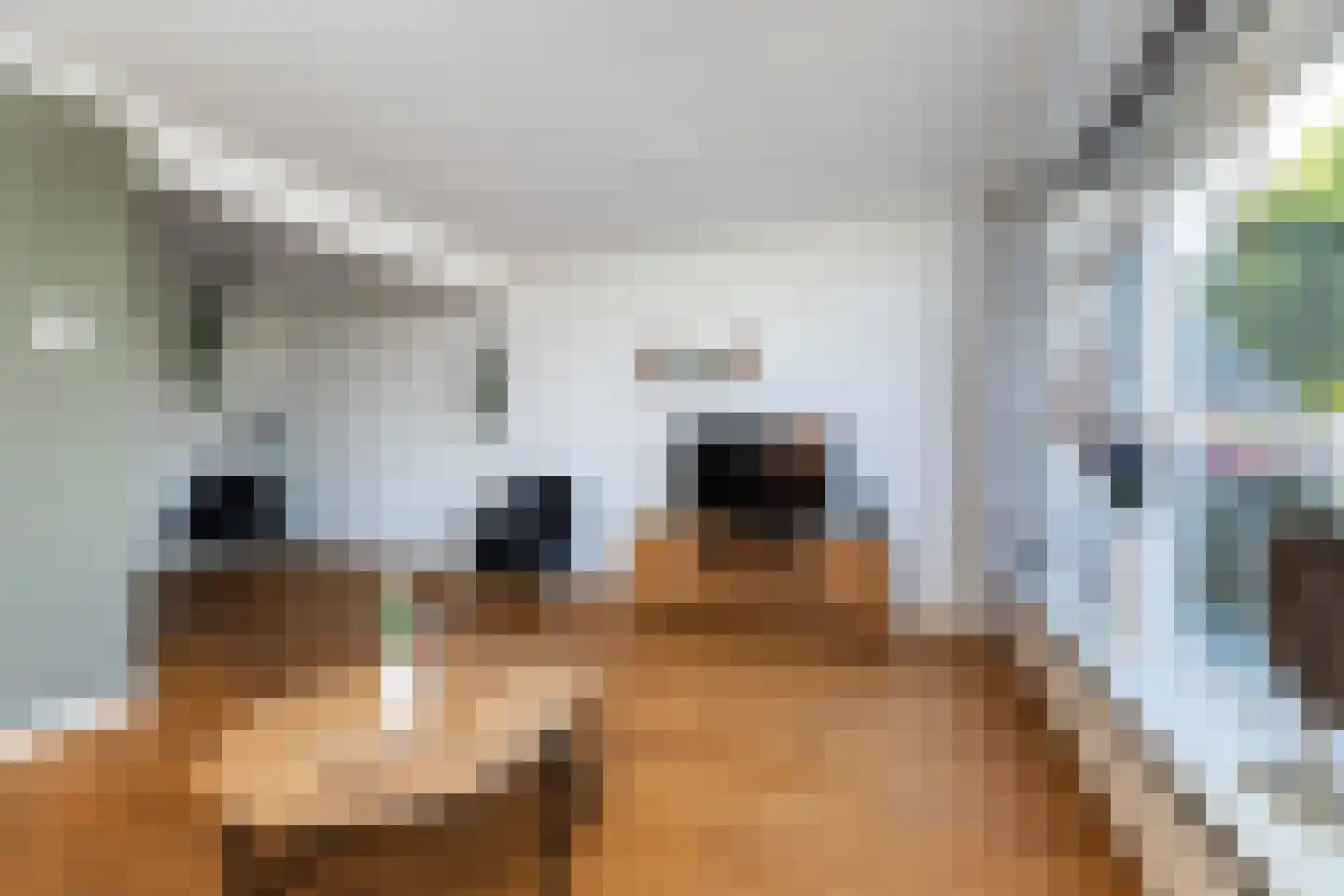 Azaleastraat 27 Wezep thumbnail 11