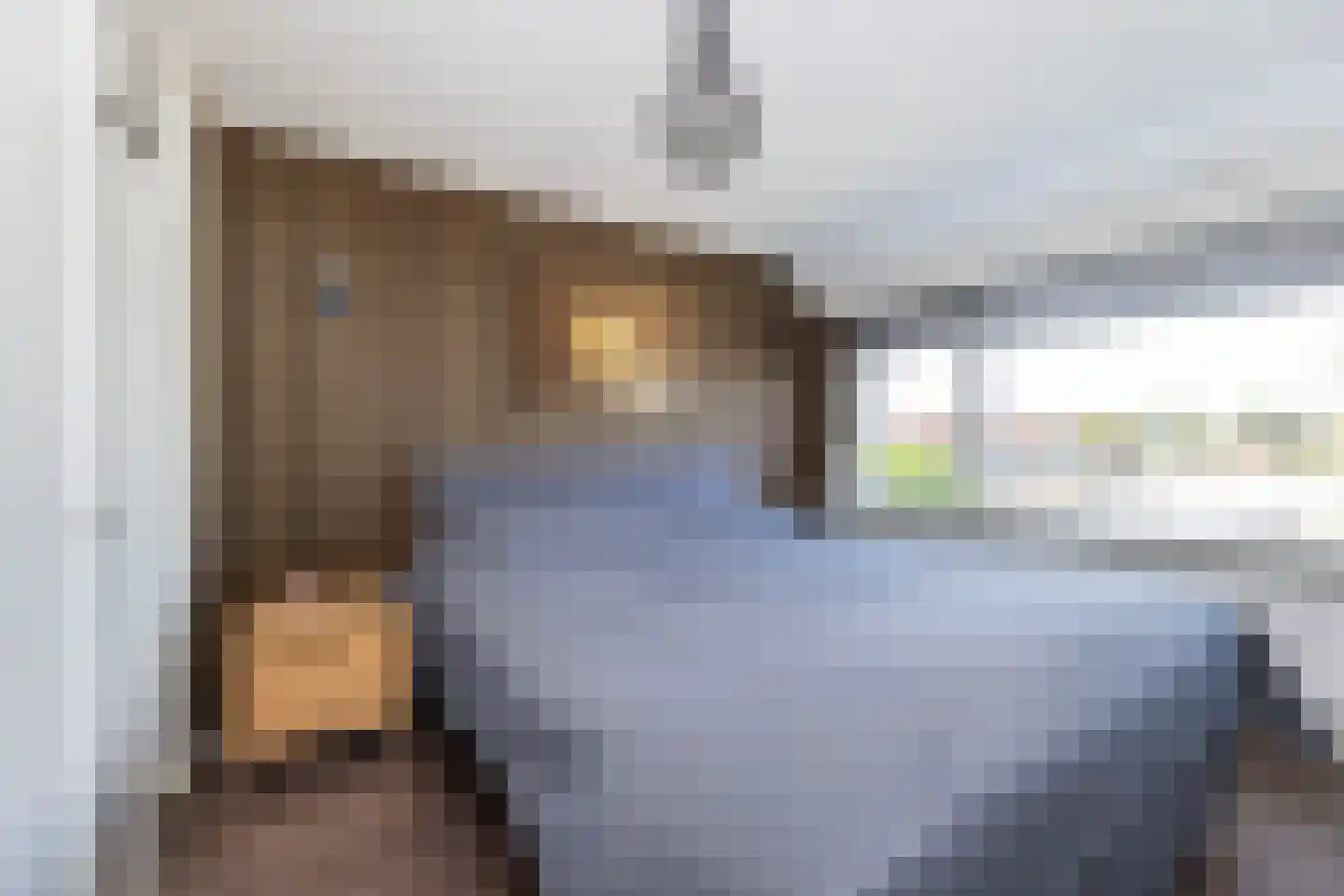 Azaleastraat 27 Wezep thumbnail 23