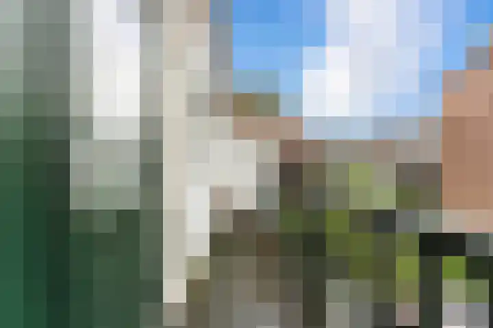 Azaleastraat 29 C Rotterdam thumbnail 31