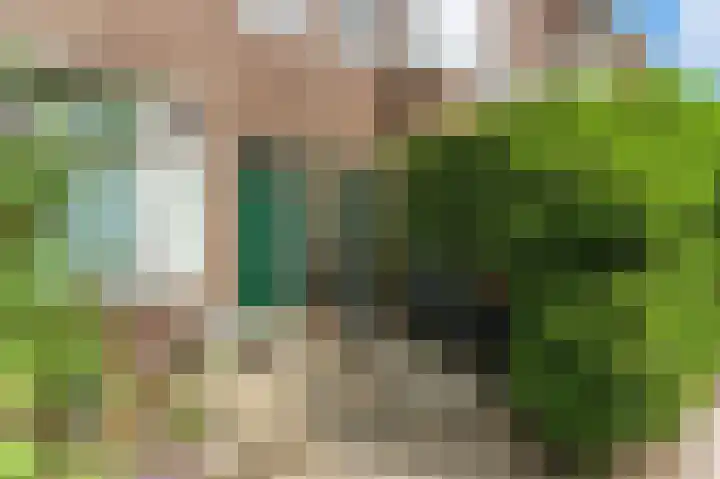 Azaleastraat 29 C Rotterdam thumbnail 34