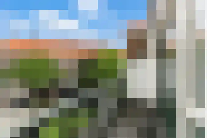 Azaleastraat 29 C Rotterdam thumbnail 4